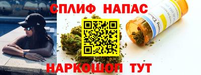 индика Балашиха