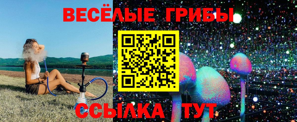 Псилоцибиновые грибы прущие грибы  Вход с VPN  Губкинский 